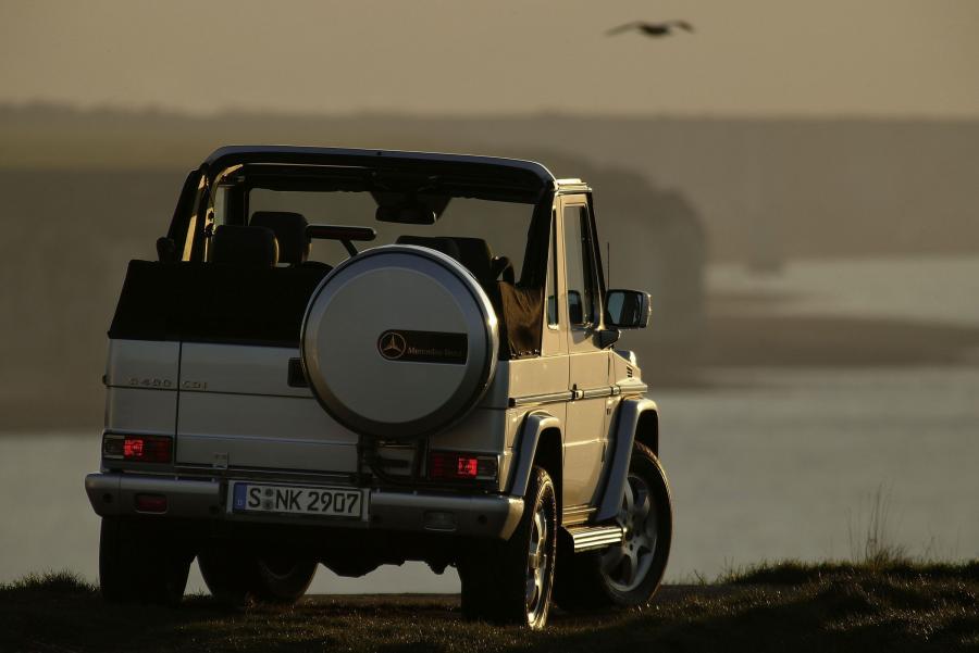  Mercedes-Benz G-Class 1990 года  (фото 35 из 260)